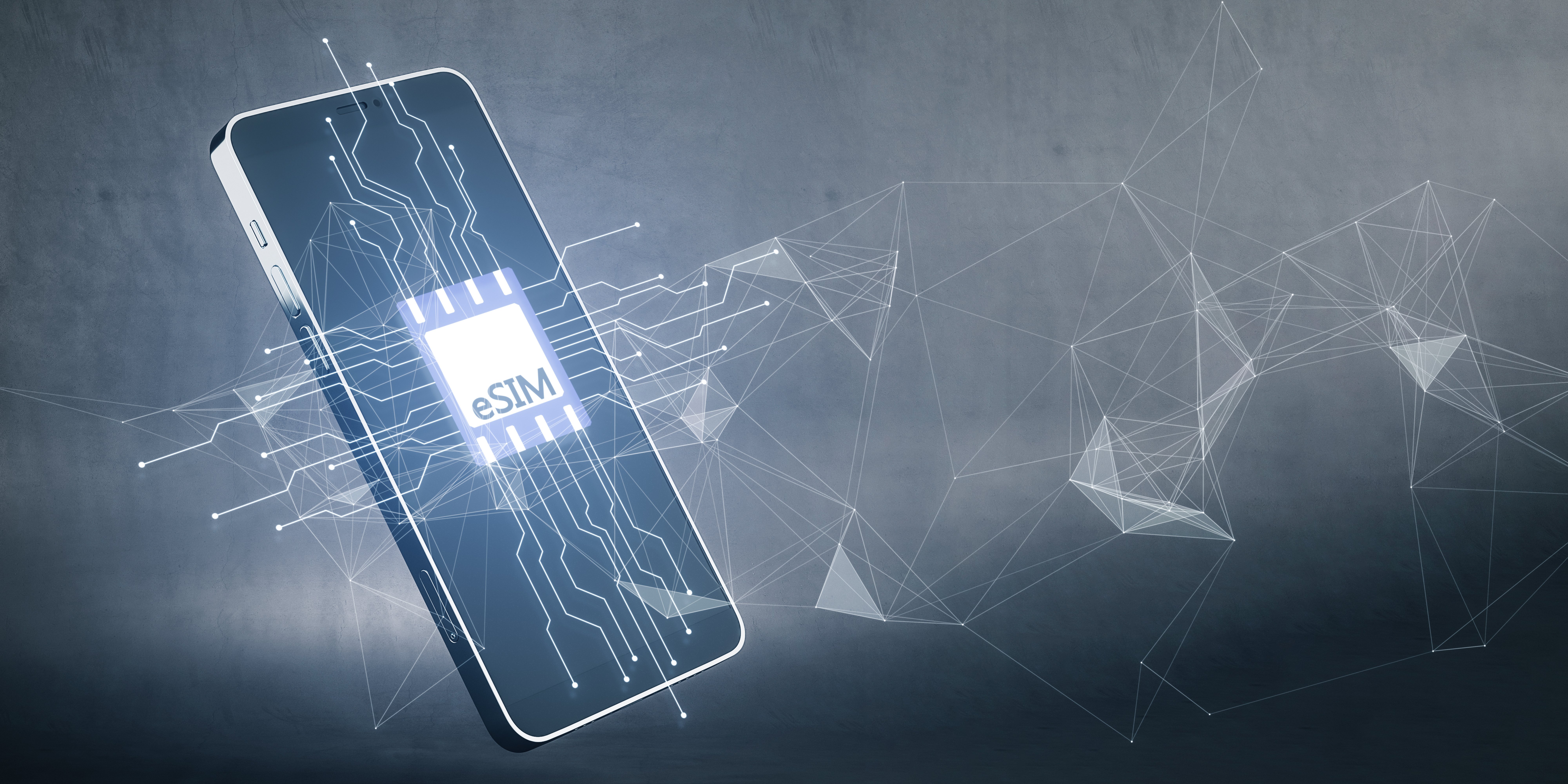 【海外旅行】eSIMと物理SIMではどちらがいい？違いやメリット・デメリットを徹底比較