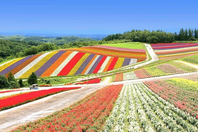 地元民おすすめ！北海道の定番土産5選